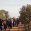marche del jarama050